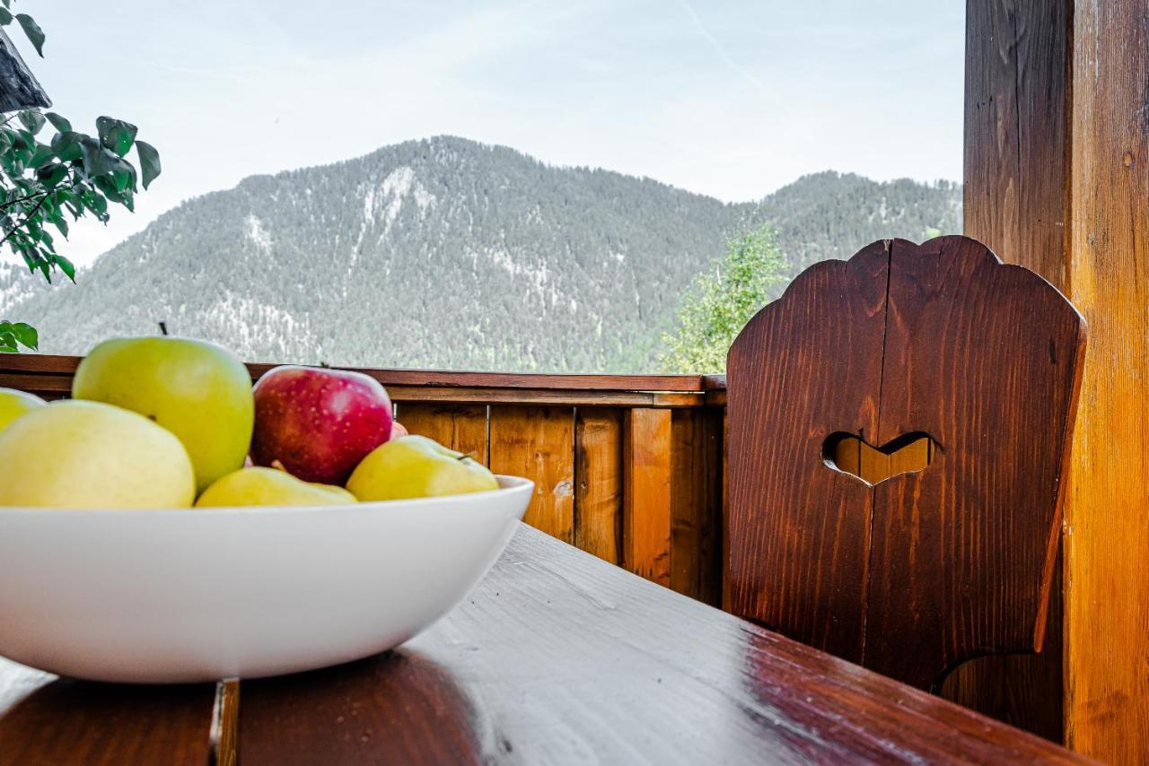 Apartment Dolomites Nest سان مارتينو-إن-باديا المظهر الخارجي الصورة